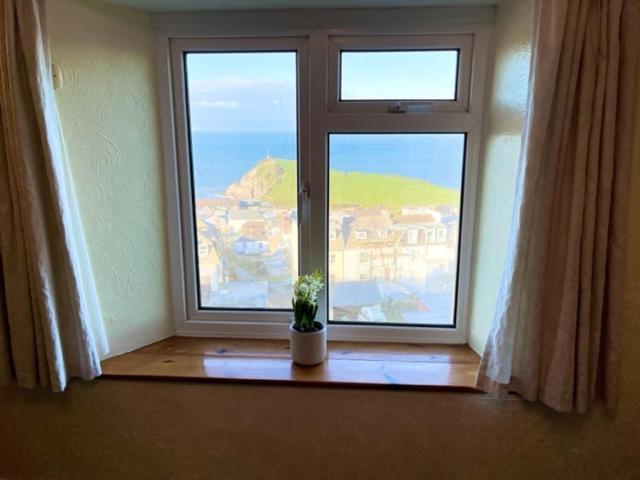 The Lookout Ilfracombe